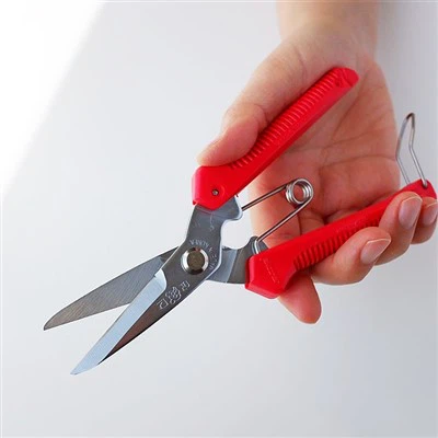 Pruning Scissors Pruning Scissors